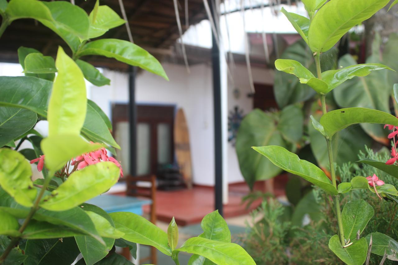 Julie Guest House Tangalle Eksteriør billede
