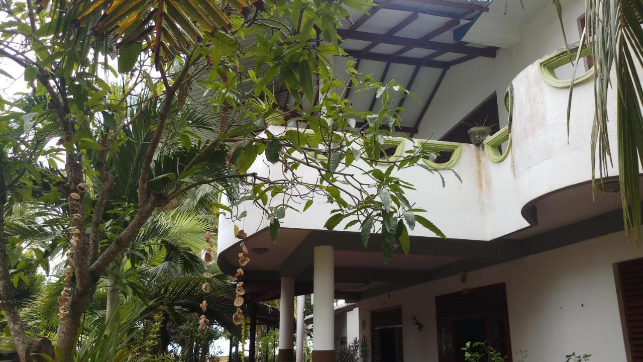 Julie Guest House Tangalle Eksteriør billede